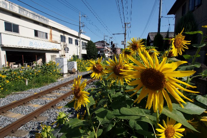 a0268412_22313747.jpg