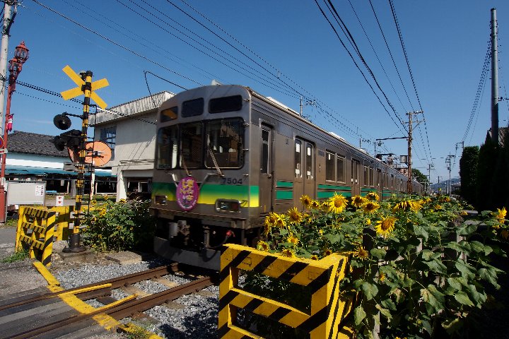 a0268412_22314976.jpg