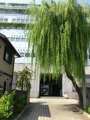 e0058913_152093.jpg