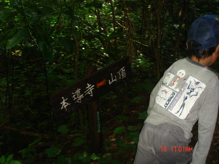 b0291016_17552562.jpg