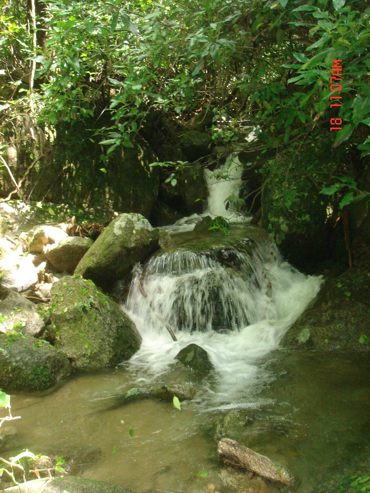 b0291016_17564334.jpg