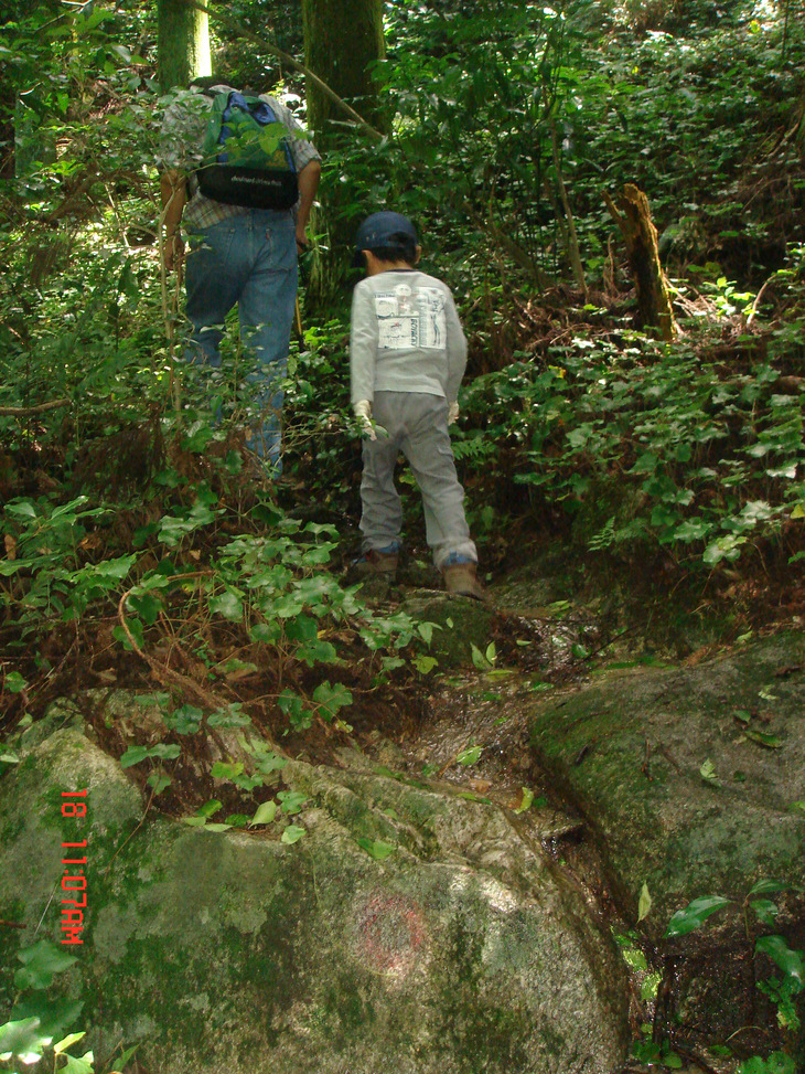 b0291016_1757564.jpg
