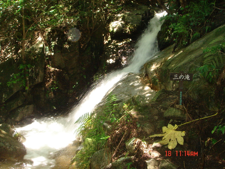 b0291016_1759967.jpg