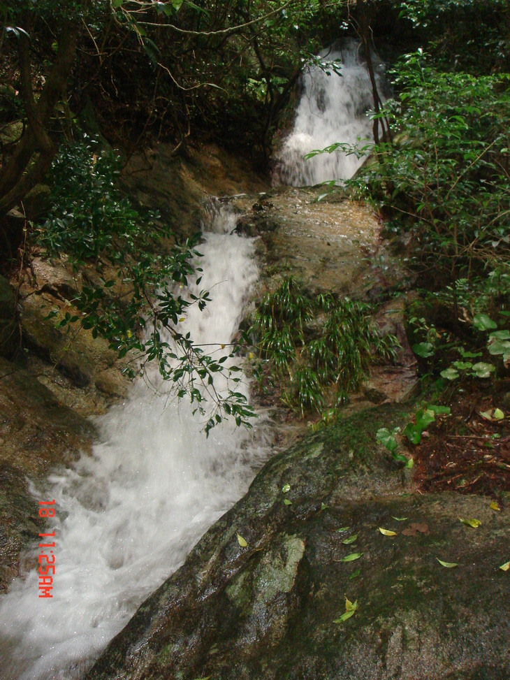 b0291016_180577.jpg