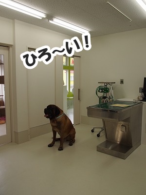 高崎の病院_e0192217_7241925.jpg