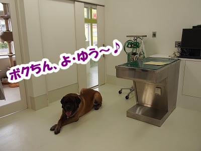 高崎の病院_e0192217_7253794.jpg