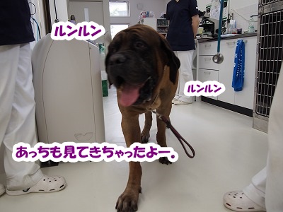 高崎の病院_e0192217_7263431.jpg
