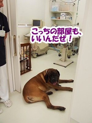 高崎の病院_e0192217_728527.jpg