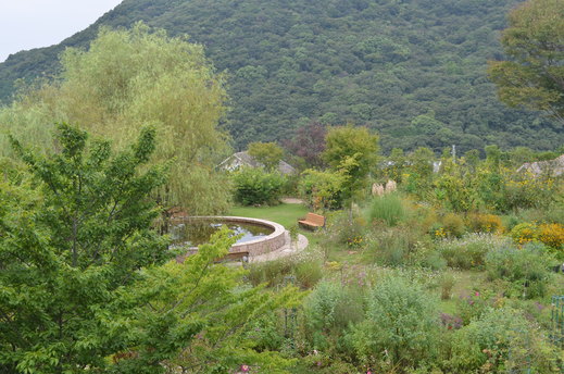 e0135518_1437154.jpg