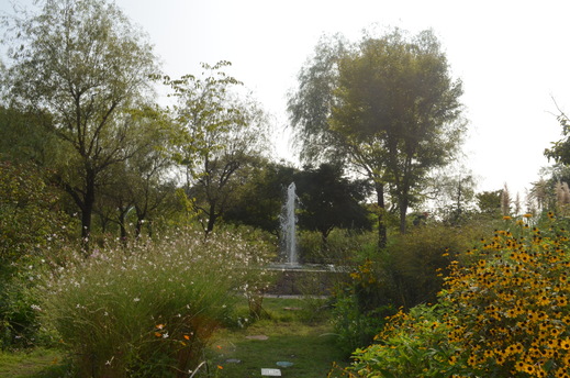 e0135518_1647076.jpg