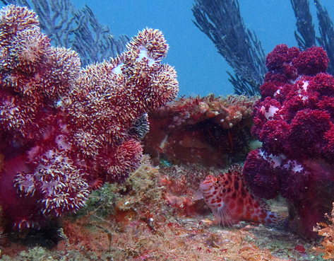 a0104720_22135334.png