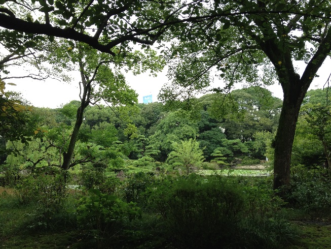 f0143521_11325.jpg