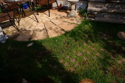 f0170524_8133393.jpg