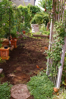 f0170524_817584.jpg