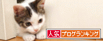 毛布猫_b0300726_17393497.gif