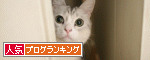 キネマにゃん報vol.25　用心棒_b0300726_1750177.gif