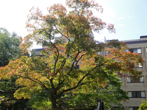 e0037129_21293767.jpg