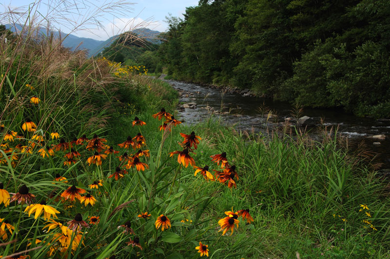 夏の名残（開田高原）_f0060531_901438.jpg