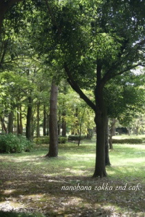 b0151533_1032521.jpg