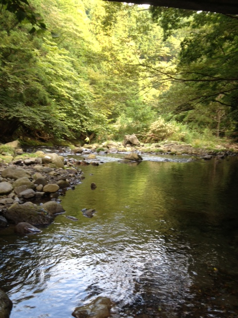 酒匂川水系 K川釣行 その1_c0149633_19561455.jpg