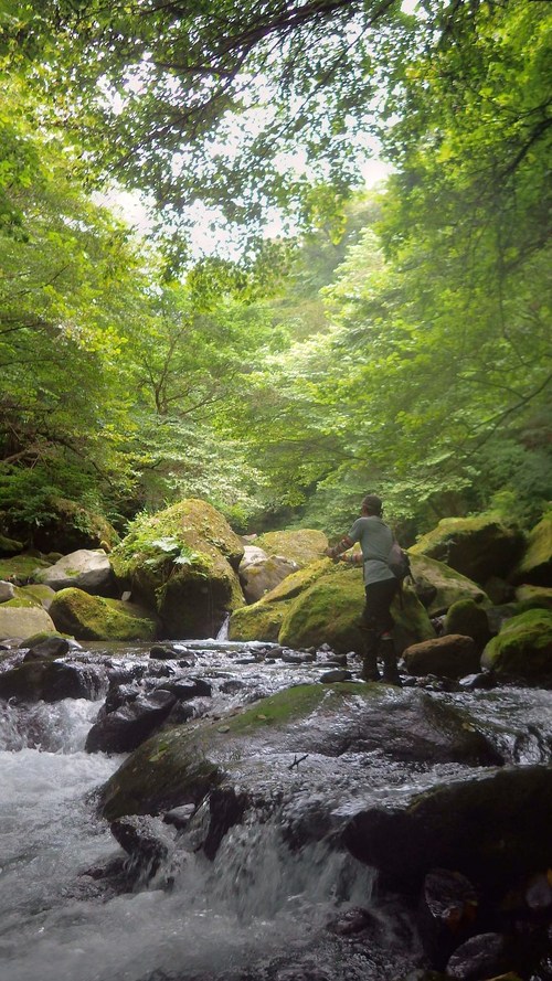 酒匂川水系 K川釣行 その1_c0149633_19583324.jpg