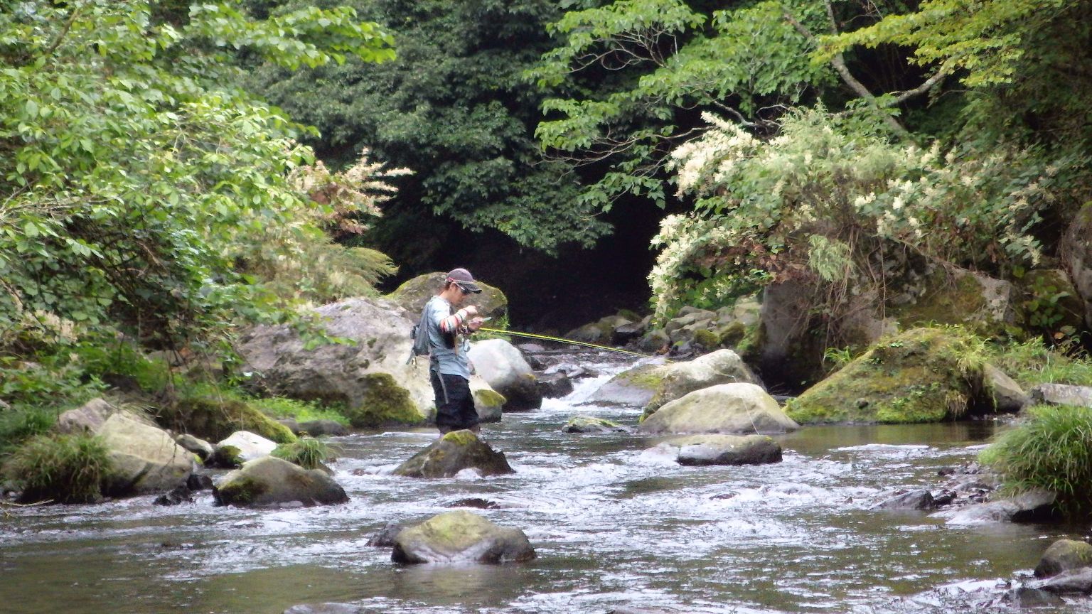 酒匂川水系 K川釣行 その1_c0149633_20141025.jpg