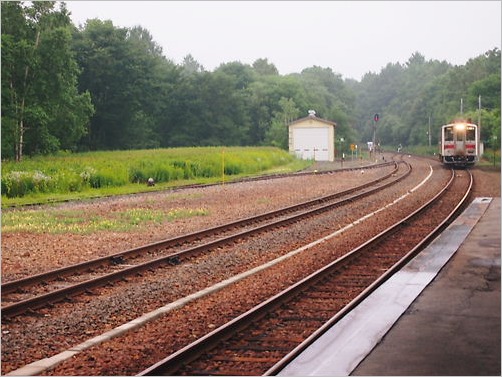 e0022839_385280.jpg