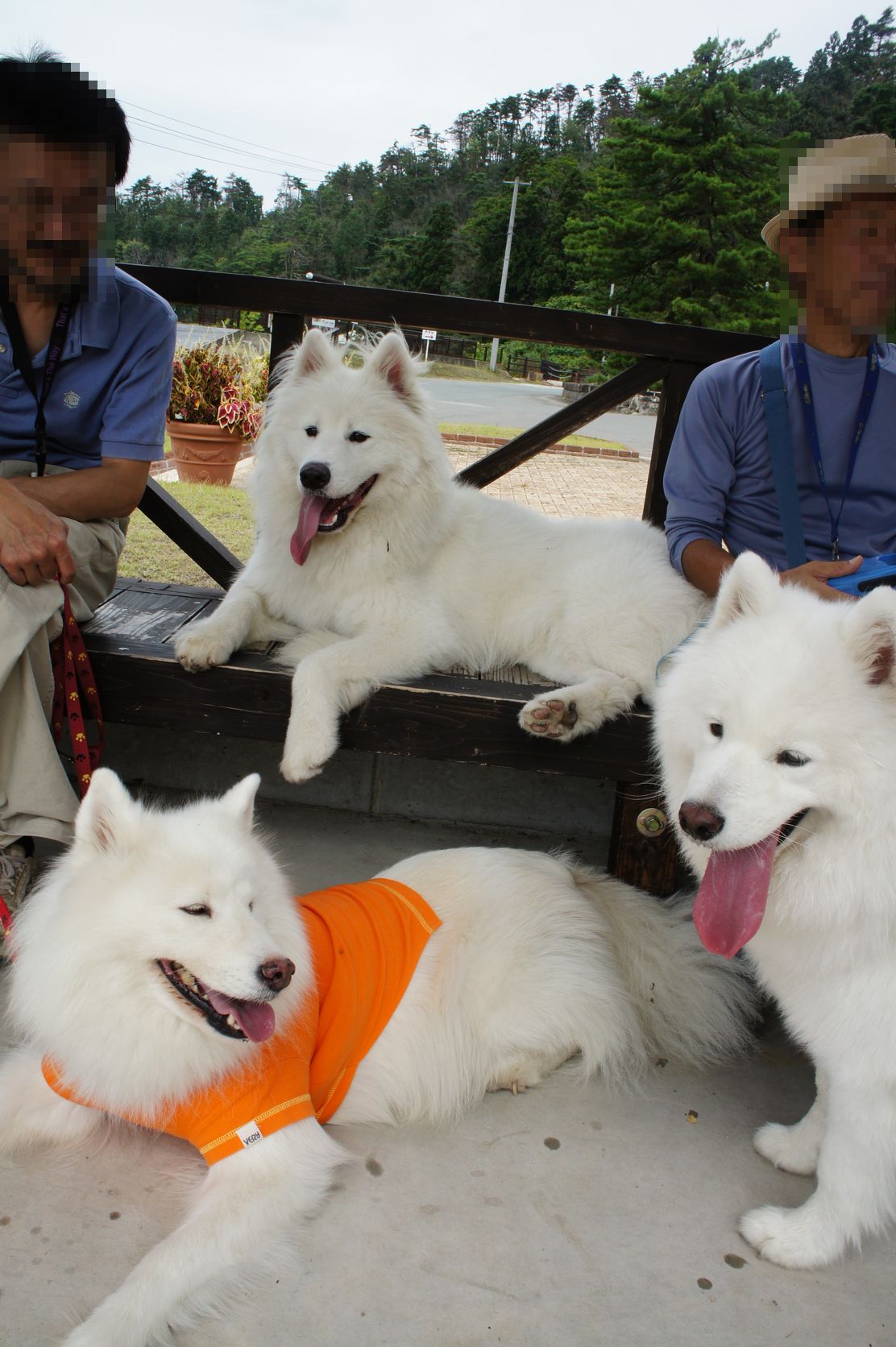 2013年みちのく旅行 その2_f0128542_925027.jpg