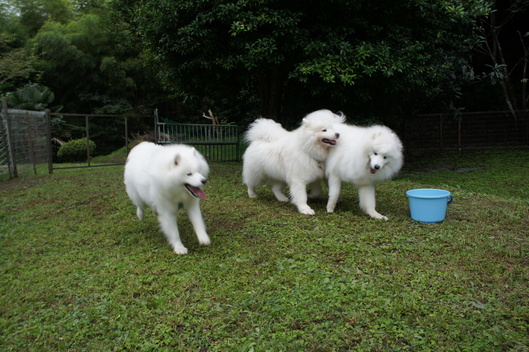 2013年みちのく旅行 その3_f0128542_9284255.jpg