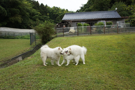 2013年みちのく旅行 その3_f0128542_9344015.jpg