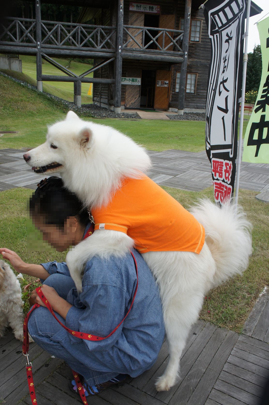 2013年みちのく旅行 その2_f0128542_935077.jpg