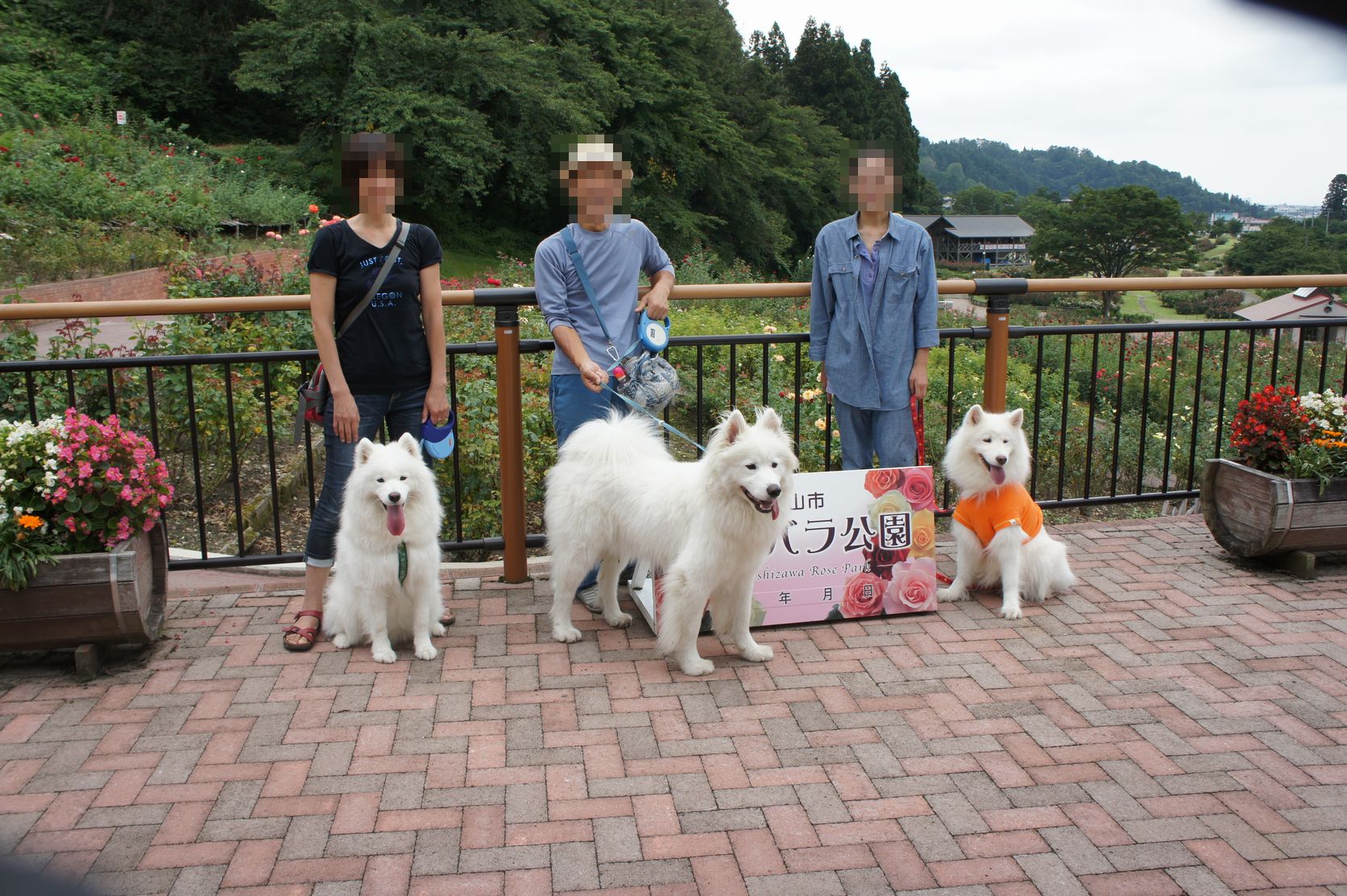 2013年みちのく旅行 その2_f0128542_99278.jpg