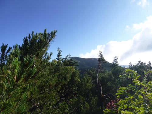 b0170644_21234232.jpg