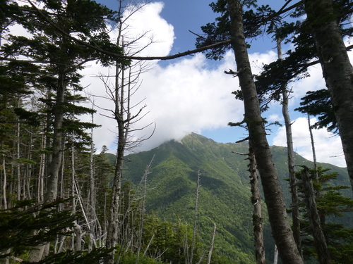 2013　南アルプス縦走　DAY5　高山裏避難小屋～塩見小屋_b0170644_2127337.jpg