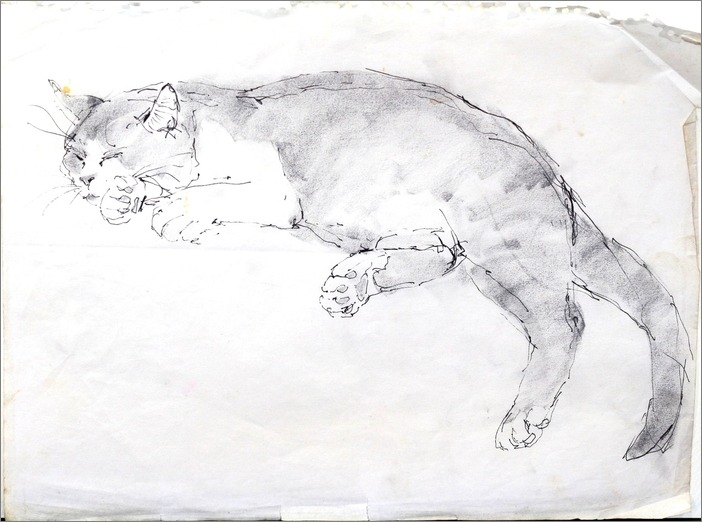 でぶねこにゃんごクロッキー 画室 游 Croquis Drawing Dessin Sketch でぶねこにゃんごクロッキー 画室 游 Croquis Drawing Dessin Sketch