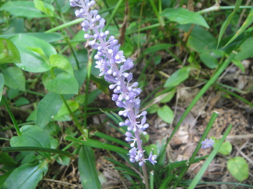 c0108460_15592591.jpg