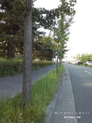 b0300769_205541.jpg