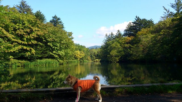 b0274270_1254666.jpg