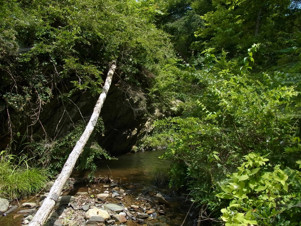 2013/07/15　大滝山　棚横手山　甲州高尾山　宮后山　柏尾山　前編_d0233770_1401447.jpg