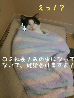 d0124072_9171030.jpg