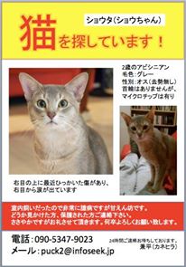 夢を夢で終わらせないのが猫の森、新たな目標が！_f0054677_7572893.jpg