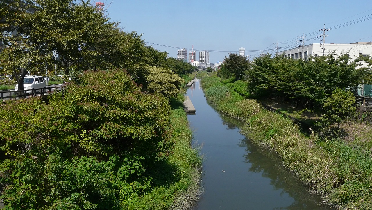 a0185081_19101149.jpg