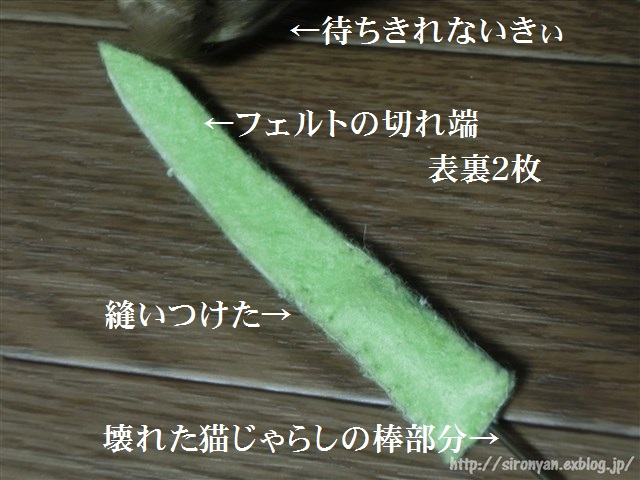 a0159490_1420593.jpg