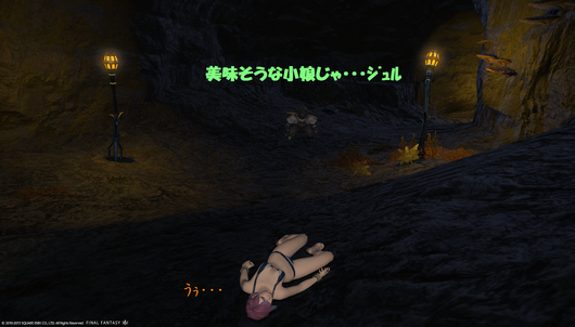 b0296791_14235611.png