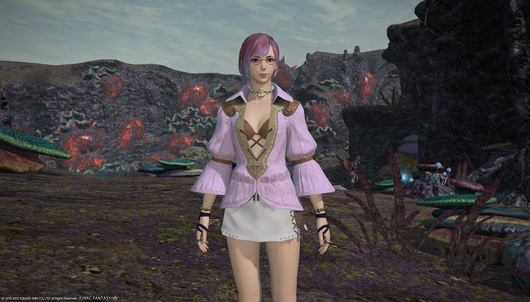 b0296791_143631.png