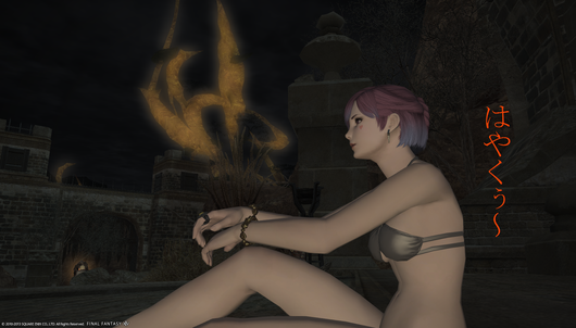 b0296791_19454040.png