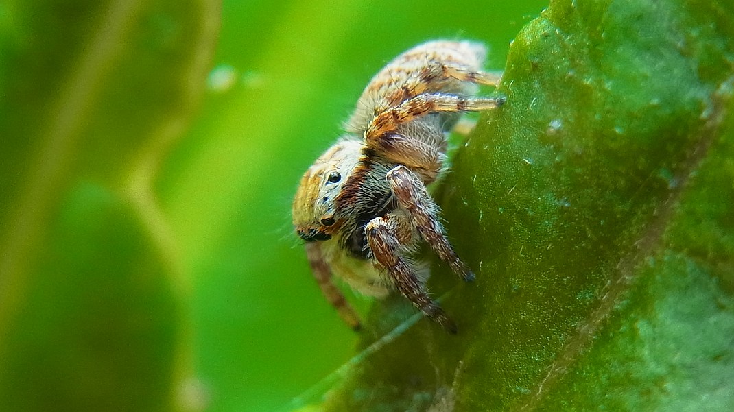 a0152692_17303854.jpg