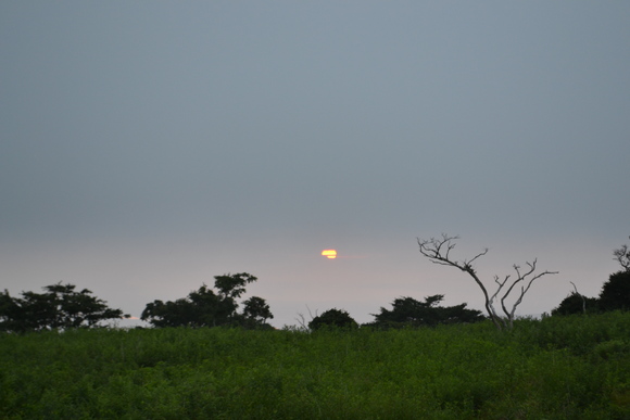 c0309492_22391234.jpg