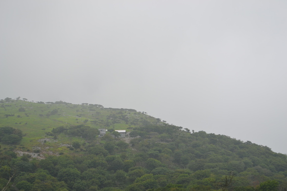 c0309492_22432545.jpg