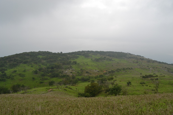 c0309492_22435450.jpg